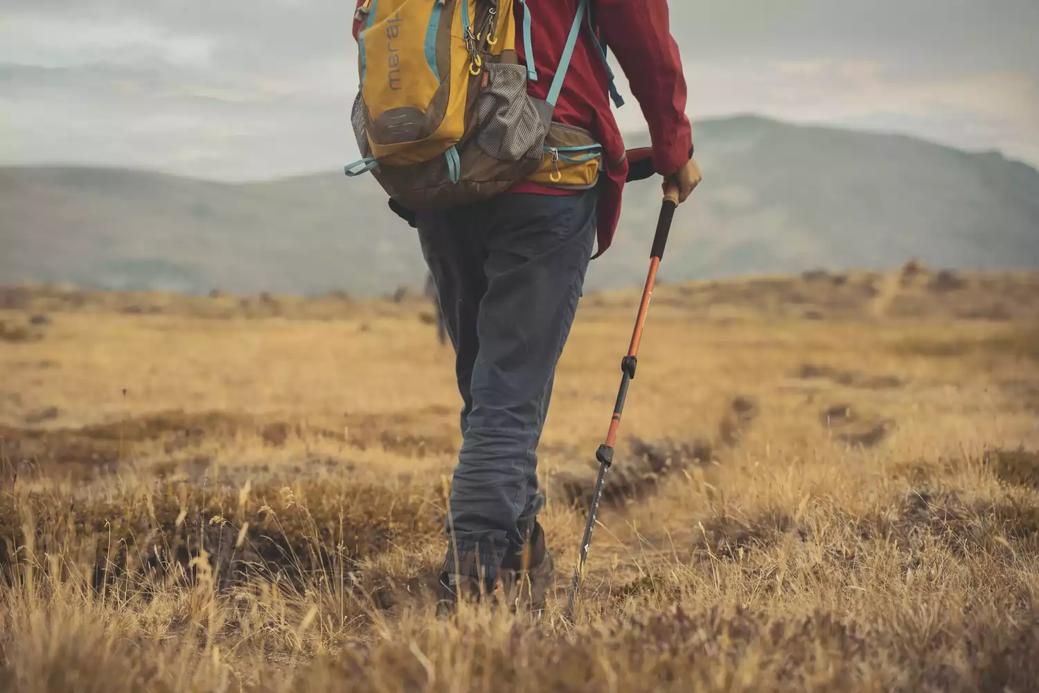 Peave Onzeker veer Wandelstokken – Dé Ultieme Gids over Trekkingstokken – Studio Pico